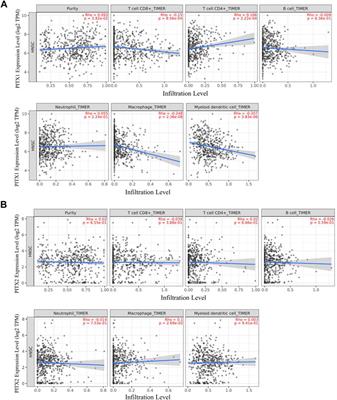 The expression and methylation of PITX genes is associated with the prognosis of head and neck squamous cell carcinoma